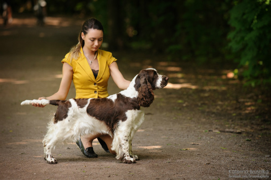 194947-84516-79002532-m549x500-u2ad4b.jp