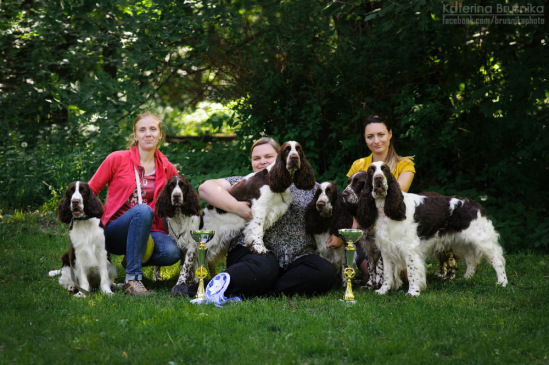 194947-e14c9-78995279-m549x500-uc2498.jp