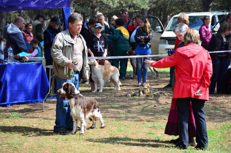 194947-fb958-94526968-m750x740-u5d974.jp